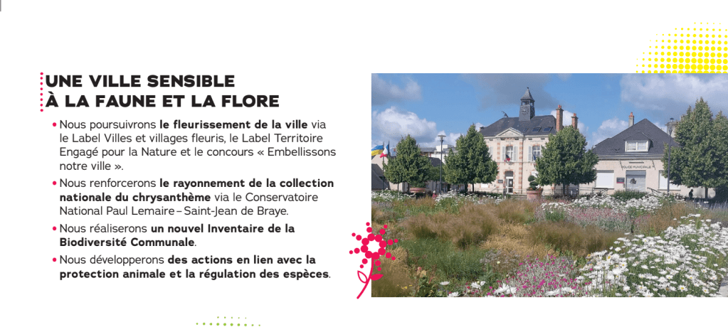 UNE VILLE SENSIBLE À LA FAUNE ET LA FLORE

Nous poursuivrons le fleurissement de la ville via le Label Villes et villages fleuris, le Label Territoire Engagé pour la Nature et le concours "Embellissons notre ville"

Nous renforcerons le rayonnement de la collection nationale du chrysanthème via le Conservatoire National Paul Lemaire-Saint-Jean de Braye.

Nous réaliserons un nouvel Inventaire de la Biodiversité Communale.

Nous développerons des actions en lien avec la protection animale et la régulation des espèces.